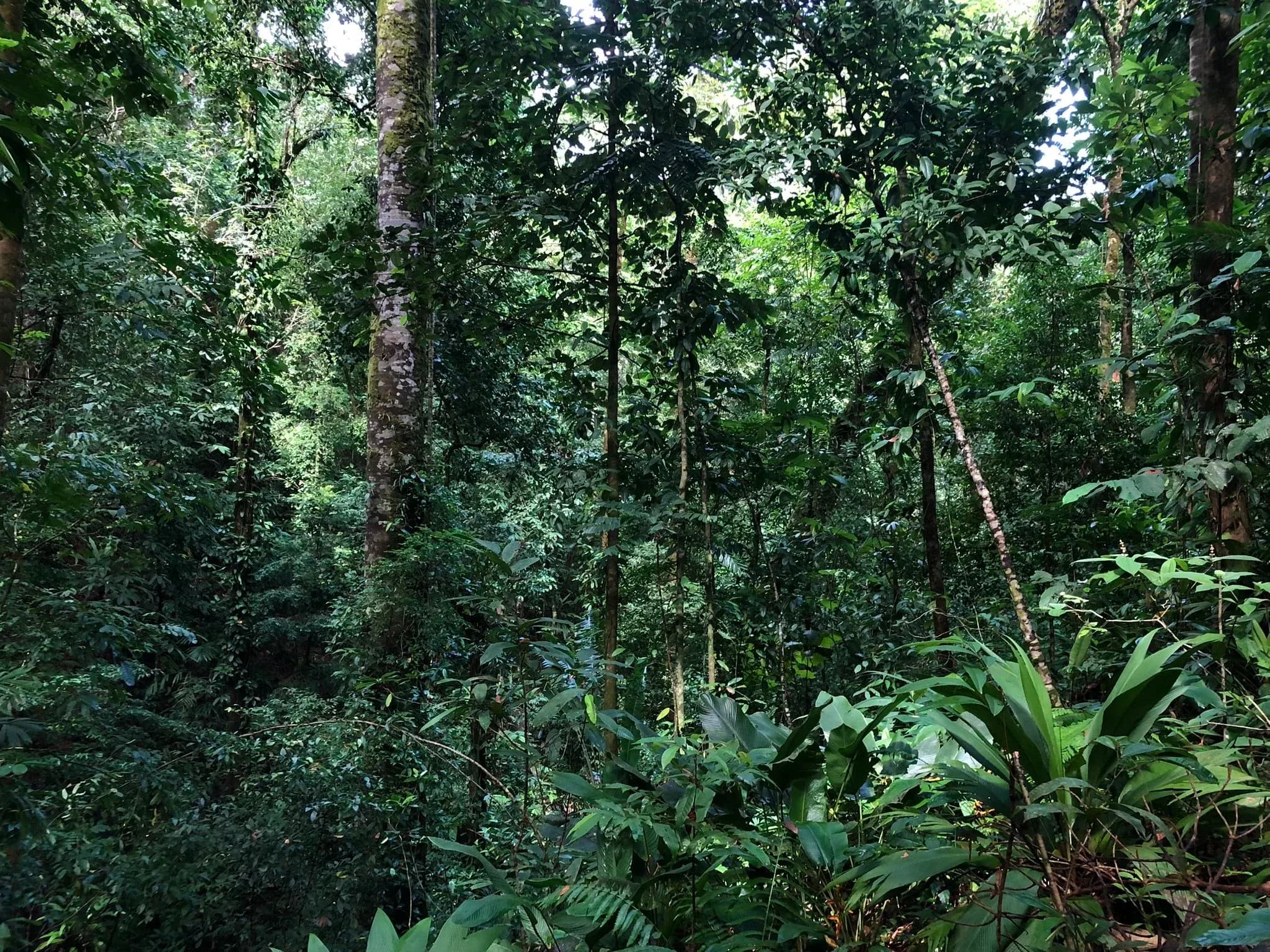 costarica